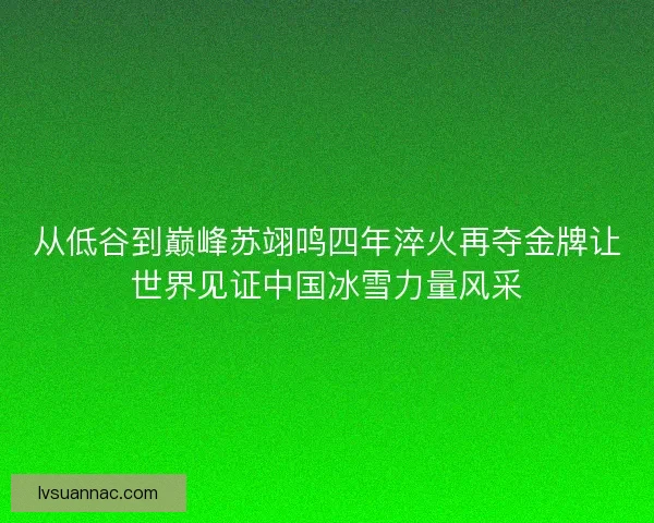 从低谷到巅峰苏翊鸣四年淬火再夺金牌让世界见证中国冰雪力量风采